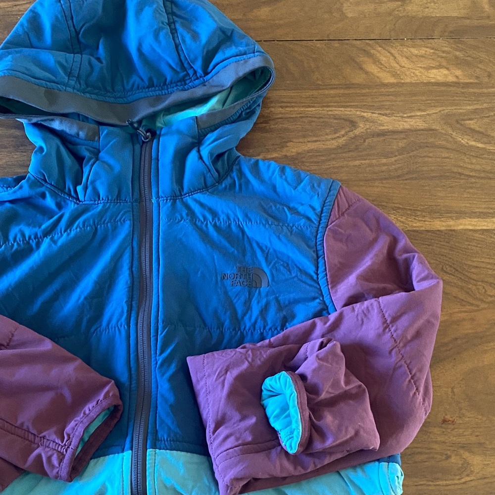The North Face Blue and Purple Ski Jacket